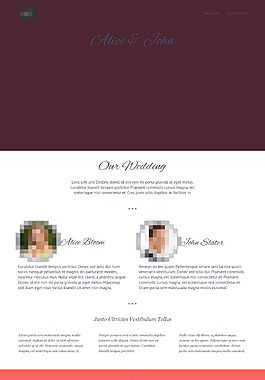 精美大气的企业婚庆婚礼结婚网站首页模板