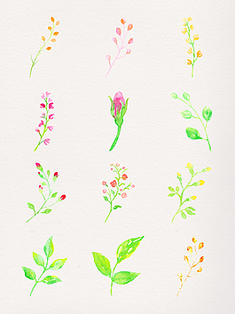 水彩亮丽植物透明装饰素材合集