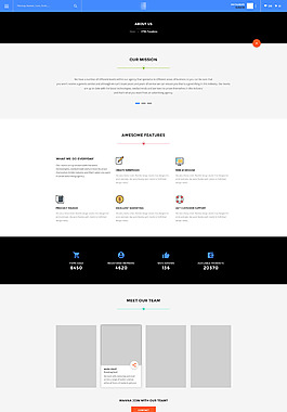 精美大气的企业广告包装设计之公司简介