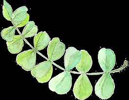 手绘一串树叶png透明素材