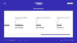 企业科技电子网站模板之公司发展历程