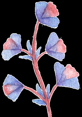 手绘五朵花花枝水彩透明素材