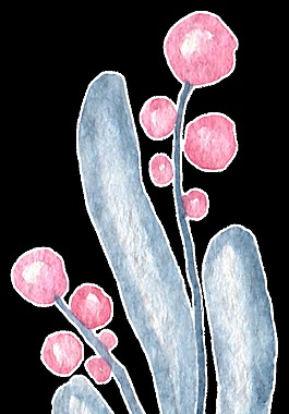 手绘植物简笔画水彩透明素材