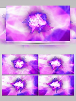 紫色光束花蕊高清视频素材