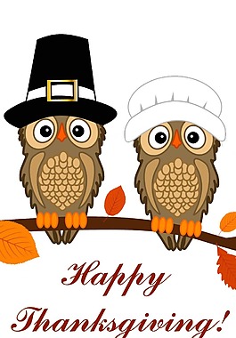 卡通可爱猫头鹰png元素