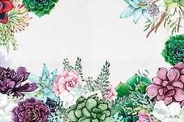 多肉植物集合psd