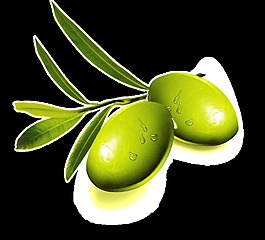 一株芒果树枝透明装饰素材