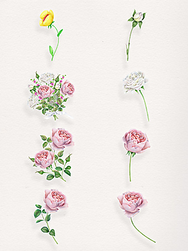 手绘精致玫瑰卡通透明装饰合集