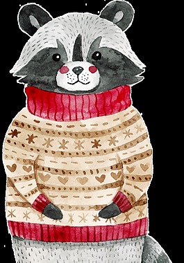 手绘卡通穿着毛衣的浣熊动物透明素材