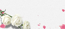 玫瑰花文艺粉色婚庆banner海报背景