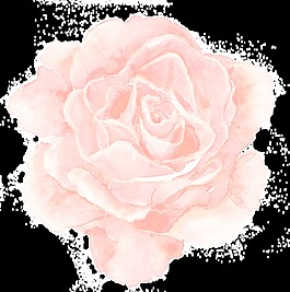 手绘一朵牡丹花png透明素材