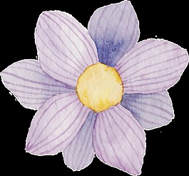 手绘淡紫色花卉png透明素材