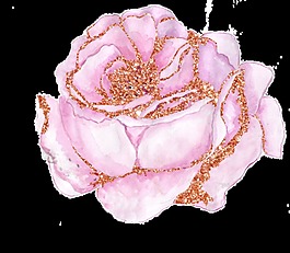 手绘镶金粉的玫瑰花png透明素材