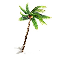 卡通椰子树png元素