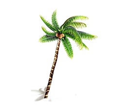 卡通椰子树png元素