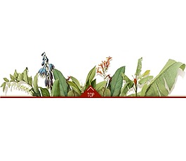 中式清新绿叶边框装饰png元素