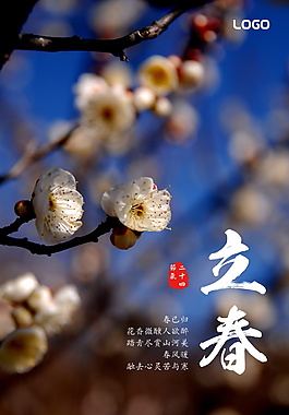 美丽花卉立春节气海报模板