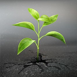 树苗发芽植物ai矢量素材下载
