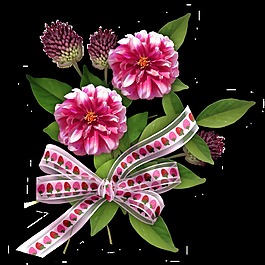 粉红色绑丝带的花束透明素材