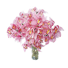 温馨清雅粉色花朵花束装饰元素