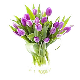 美丽紫色花朵花束实物元素