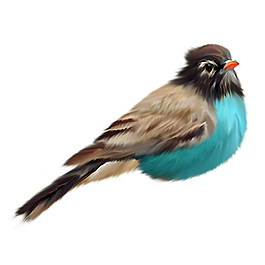 精致兰褐色小鸟装饰元素