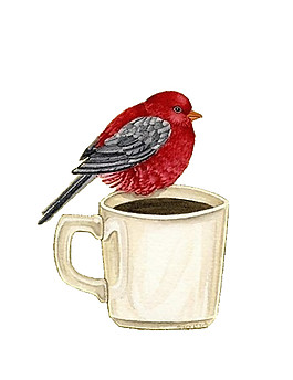 可爱神气红色小鸟装饰元素