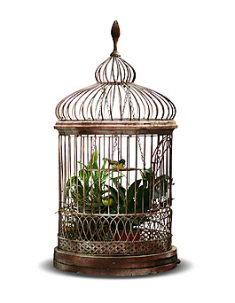 隔断铜色鸟笼产品实物