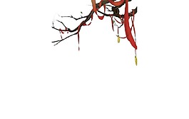 树枝挂红丝带插画png元素
