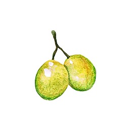 卡通黄绿色水果png元素