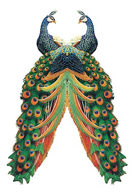 卡通彩色孔雀png元素