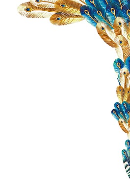 卡通彩色孔雀羽毛png元素