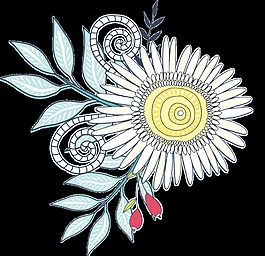 手绘线性向日葵PNG透明素材