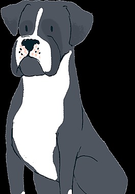 坐着威严的狗宠物狗狗透明素材