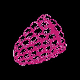 手绘玉米透明蔬菜