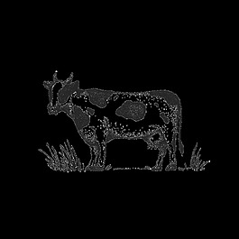 手绘奶牛透明素材