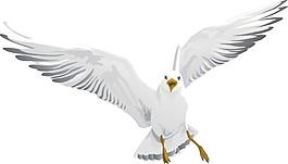 白色和平鸽png元素