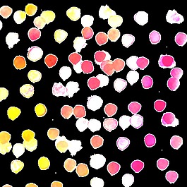 手绘圆点设计装饰素材