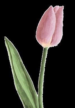 创意手绘装饰素材