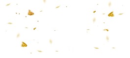 卡通黄色漂浮物png元素