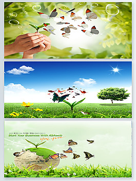 彩色蝴蝶精美背景