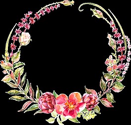 雅致深粉色花朵手绘花环装饰元素