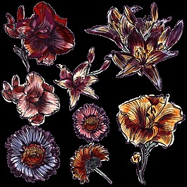 暗黑系深色手绘菊花装饰元素