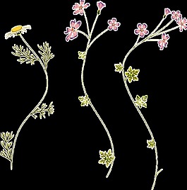 清新美丽手绘菊花装饰元素