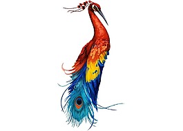 卡通彩色羽毛孔雀png元素