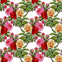 时尚复古玫瑰花植物