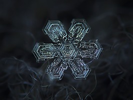 冬季黑色雪花背景图