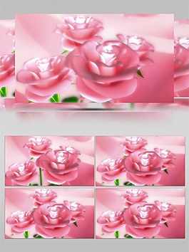 粉色梦幻玫瑰视频素材