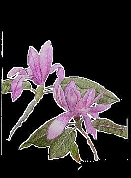 彩绘紫色花朵装饰元素