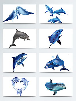 海豚蓝色经典动作透明素材合集